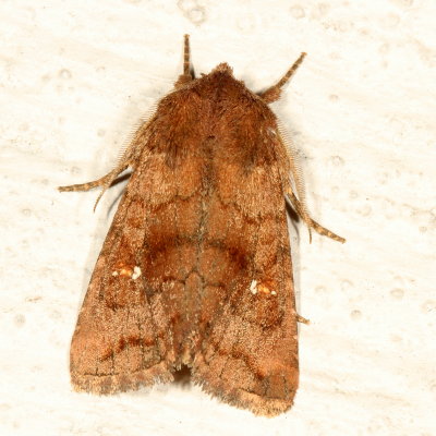 g9/24/845124/3/157514395.TJErmVDo.jpg