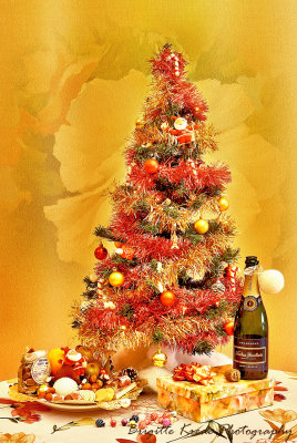 Day after Christmas