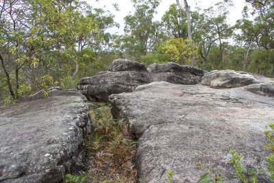 Karrawatha Forest Park