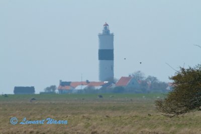 The lighthouse Lnge Jan seen from Ottenby grove.
