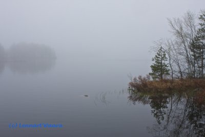 Villingsberg in mist