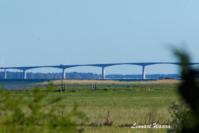 The bridge to land from Beijershamn.