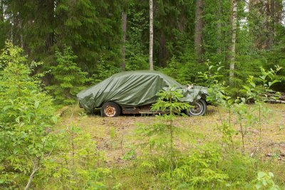 Frfallet o nedskrpningen fortstter!