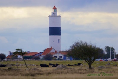 Lnge Jan - The lighthouse