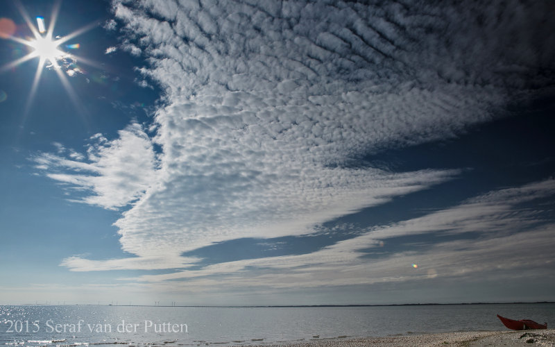 Schelpenbult; Roggenplaat; Oosterschelde; Zeeland