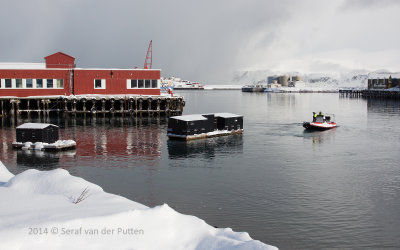 Batsfjord-ArcticTourist