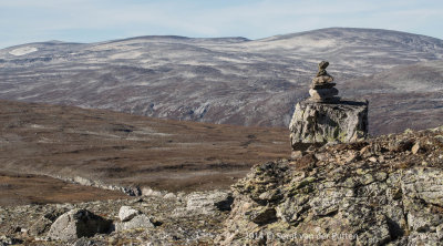 Dovrefjell View