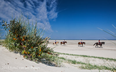 Renesse strand; Renesse beach; ; Zeeland