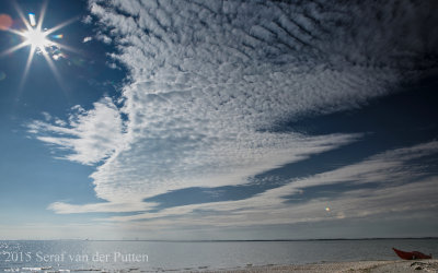 Schelpenbult; Roggenplaat; Oosterschelde; Zeeland