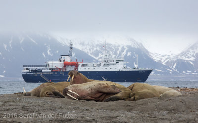 2016 - NAO From Zeeland to Spitsbergen 