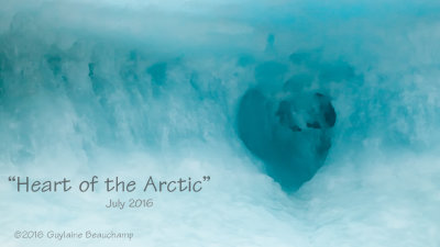 Heart of the Arctic Expedition