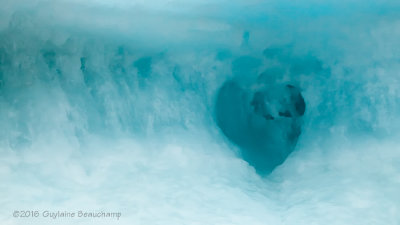 Heart of Arctic