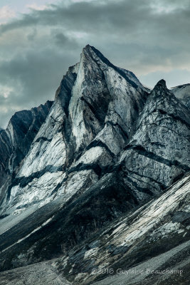 Kangerlussuaq Fjord