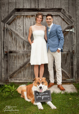 My humans are getting married   :)