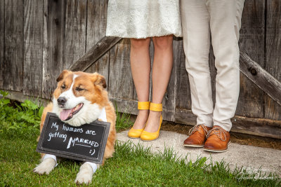 My humans are getting married !