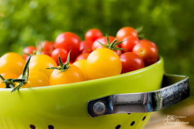 C'est en septembre... que le potager dborde!