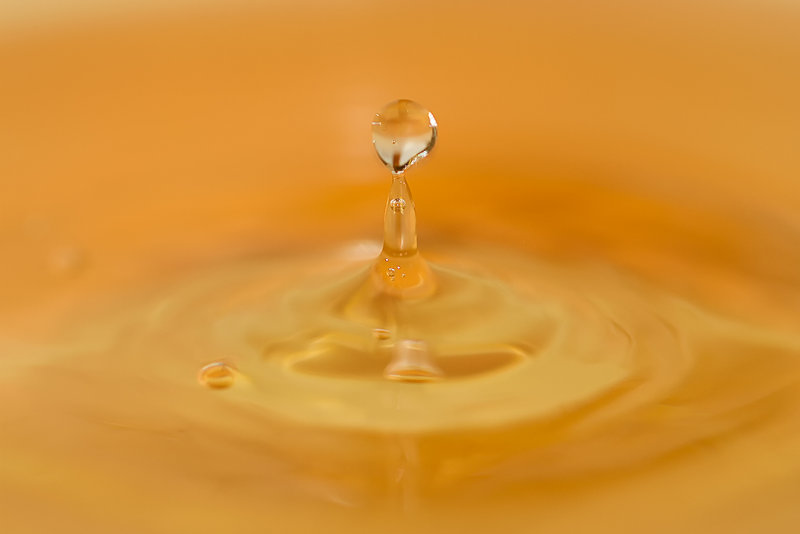 Splash