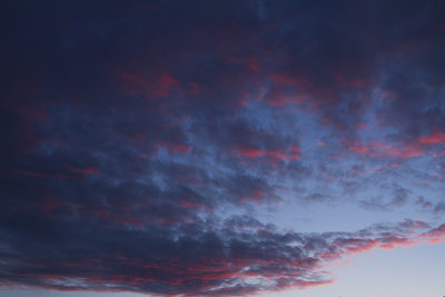 080513_6593.jpg