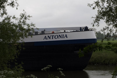 Antonia.jpg