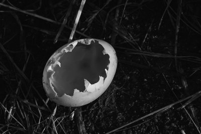 250513_7072.jpg