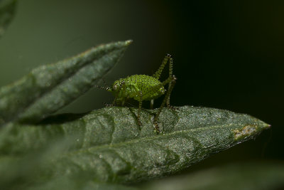 140613_8154.jpg