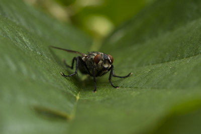 120713_1018.jpg