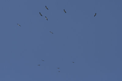 230813_4103.jpg