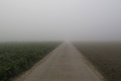 Mistig
