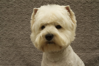 Bert.jpg