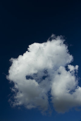 180913_5578.jpg