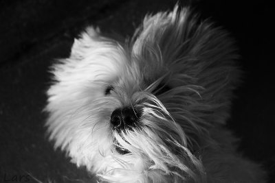 270913_6609.jpg