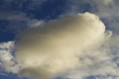 IMG_6799.jpg