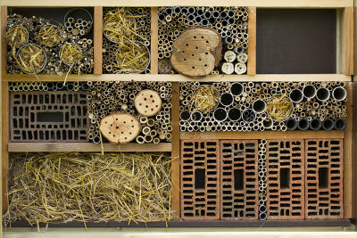 Insectenhotel in Spiere-Helkijn