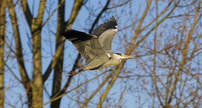 IMG_7807.jpg