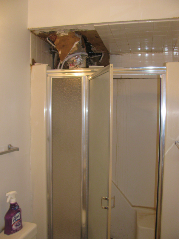 Shower 2.png