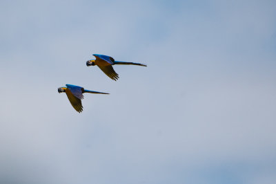 g9/25/1167325/3/158218850.Zq2WrR3A.jpg