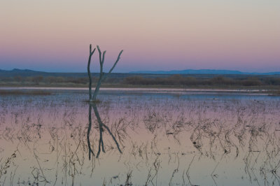 Betwixt and Between[Audubon]-2.JPG