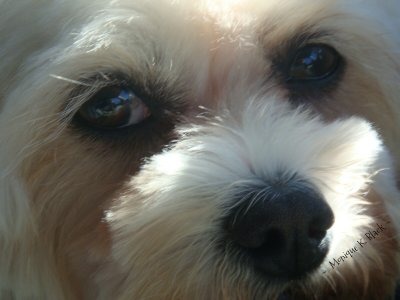 My Lil Zoey ❤
