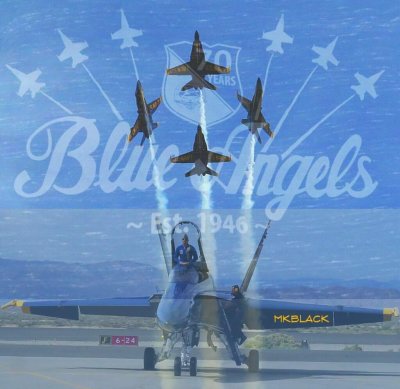 THE BLUE ANGELS