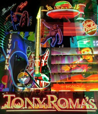 UNIVERSAL NEONS