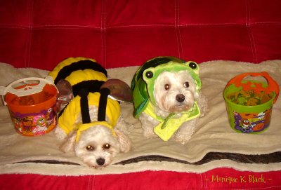 HAPPY HALLOWEEN