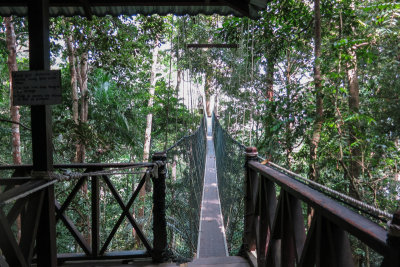 Taman Negara-0666.jpg