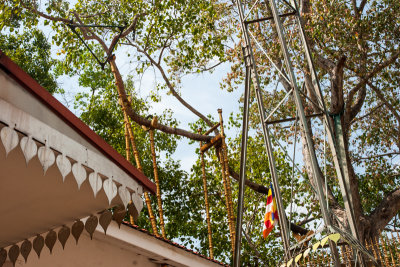 Anuradhapura-7424.jpg