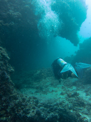 Maldives underwater-2346.jpg