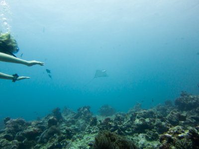 Maldives underwater-2435.jpg