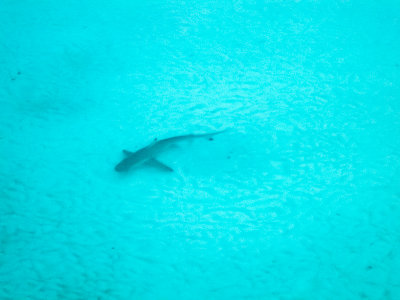 Maldives overwater-2603.jpg