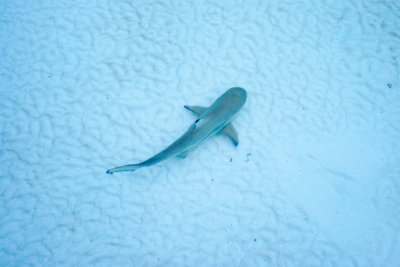 Maldives overwater-8520.jpg