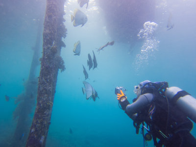 Raja Ampat underwater-3704.jpg