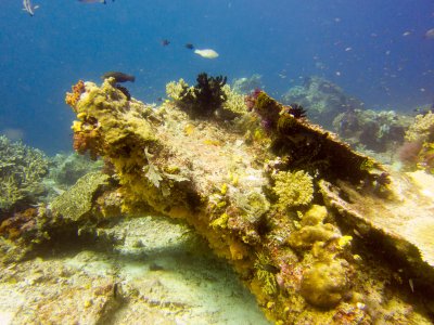 Raja Ampat underwater-3978.jpg