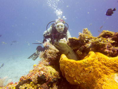 Raja Ampat underwater-4019.jpg